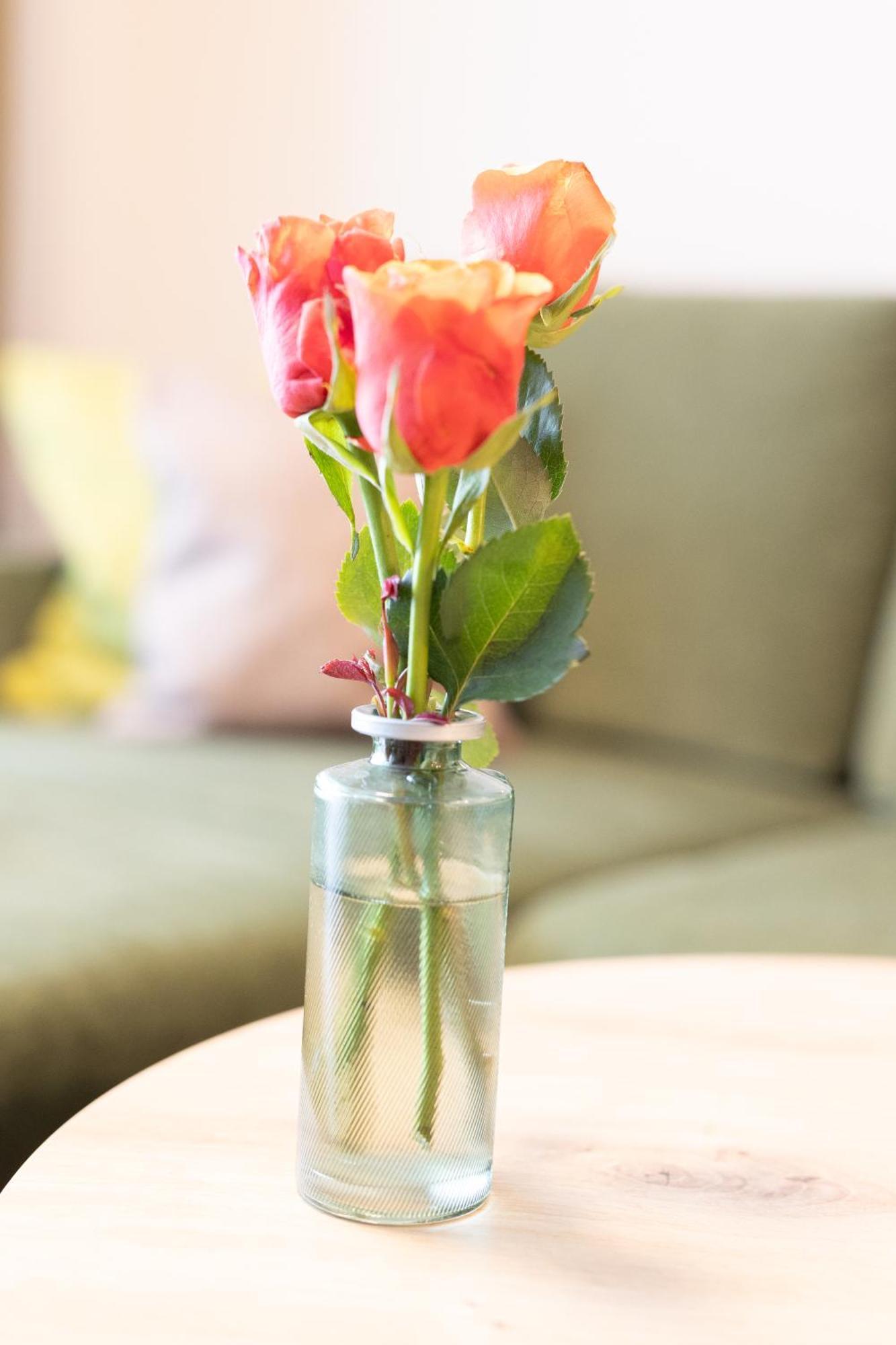 Appartementdeluxe Steiert - Near Europa Park - Rulantica - Spacious - Fully Equipped Kitchen - Private Garden - Free Parking - Pet Friendly Schwanau Esterno foto